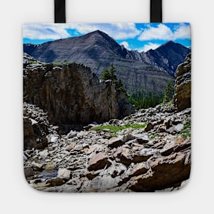 At the fringe of the treeline. Tote