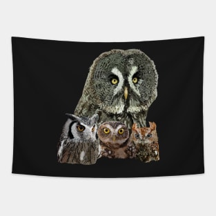 Owls Tapestry