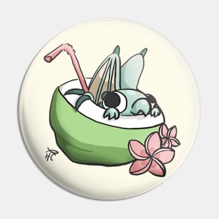 Toddball in a Coconut Pin