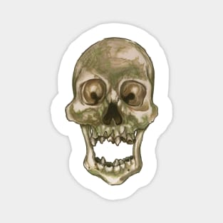 Skull - Decay and Rot Magnet