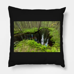 Still water river in forest at summer day Pillow