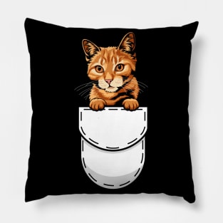 Funny Tabby Pocket Cat Pillow