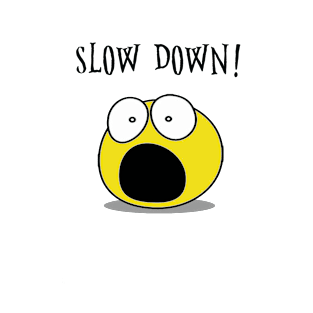 SLOW DOWN ! T-Shirt