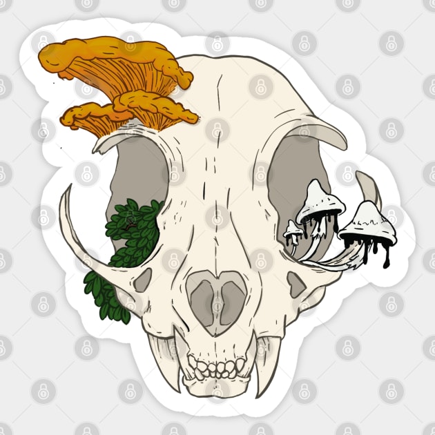 45,836 Cat Skull Images, Stock Photos & Vectors | Shutterstock