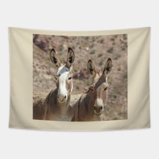 Wild Burros, donkeys, wildlife, Arizona Babes Tapestry