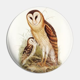 Grass-Owl (Strix candida) Pin