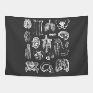 Human Anatomy 2 Tapestry