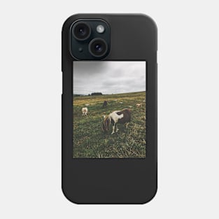 Wild Ponies in England Phone Case