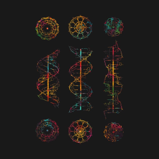 A-,B-, and Z-DNA by erzebeth