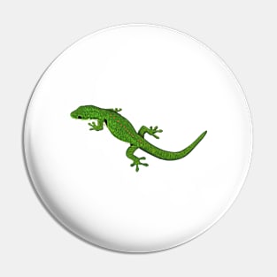 Drawing - peacock day gecko Pin