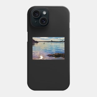 Great Heron and Pelican in the Harbor Phone Case