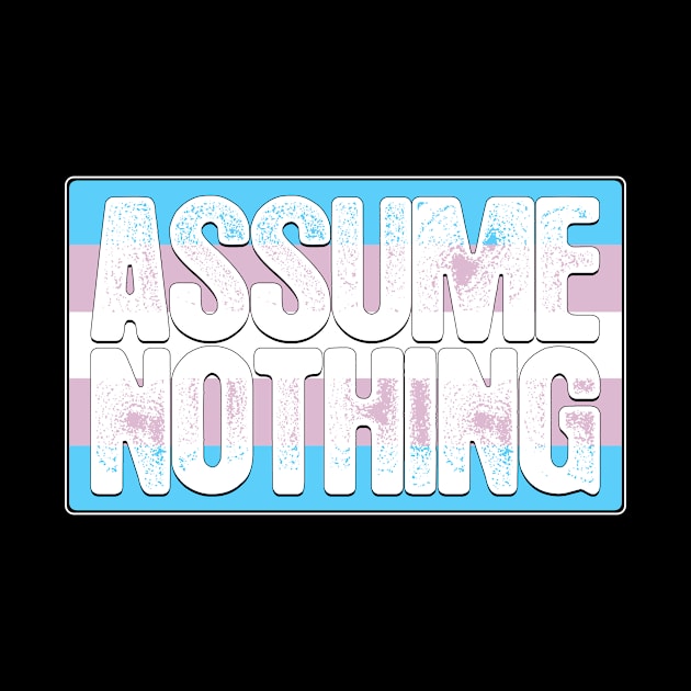 Assume Nothing Transgender Pride Flag by wheedesign