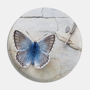 Blue butterfly Pin