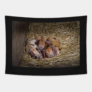 Let Sleeping Piglets Lie Tapestry