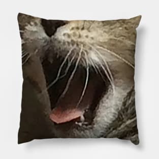 Open Kitten Mouth Pillow