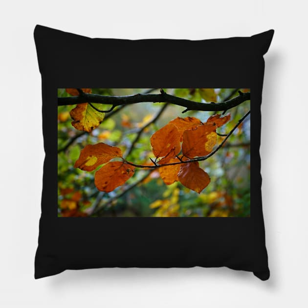 Colorful Autumn Leaves on Tree Branch Pillow by Harmony-Mind