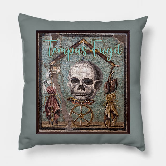 Tempus Fugit Pillow by Sublime Expressions