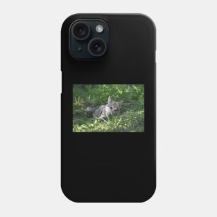 Wolf Puppy Phone Case