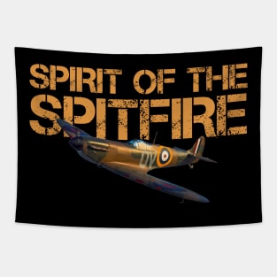 Vintage spirit of the Spitfire, RAF fighter Tapestry