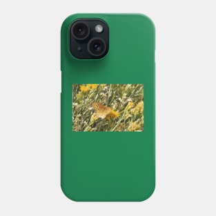 Painted Lady, Butterfly, Nature, Wildlife Phone Case