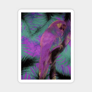 ABSTRACT MACAW DECO INDIGO TINT WITH PINK PARROT ART POSTER Magnet