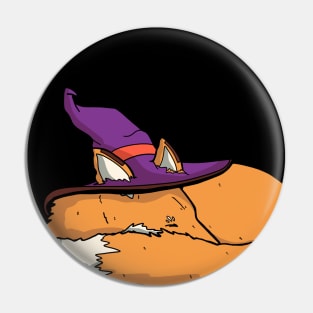 Sleeping wizard fox Pin