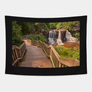 Winding Blackwater Falls Tapestry