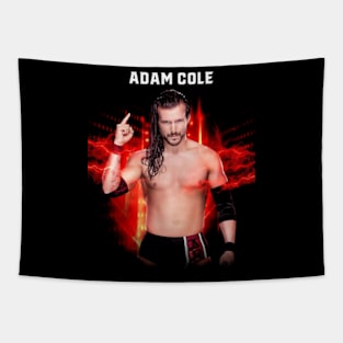 Adam Cole Tapestry