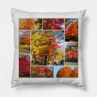 Foliage Collage Pillow