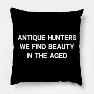 Antique Hunters We Find Beauty in the Aged Pillow