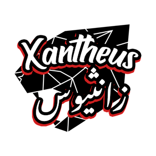 Xantheus arabic calligraphy T-Shirt