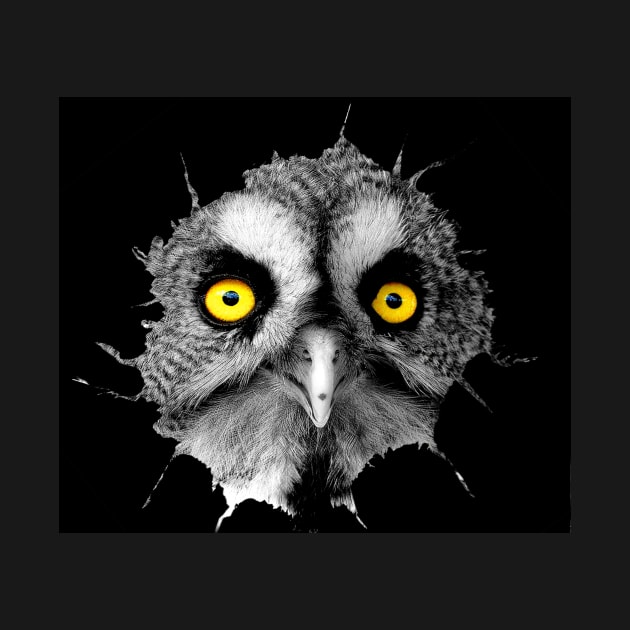 Owl in hole tear out of chest by Simon-dell