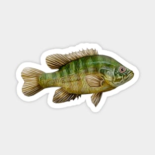 Sunfish Magnet