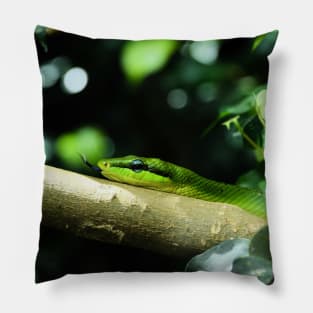 Grüne Mamba / Swiss Artwork Photography Pillow