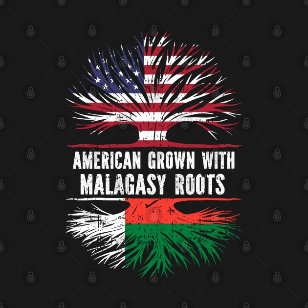 American Grown with Malagasy Roots USA Flag by silvercoin