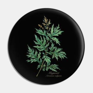 Witch herbs. Mugwort Pin