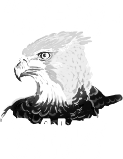 Patriotic American Bald Eagle Merica - Mericaw USA Magnet