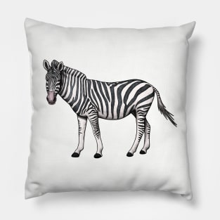 Zebra Pillow