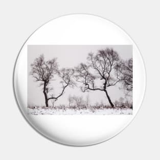 Stark winter woodland Pin