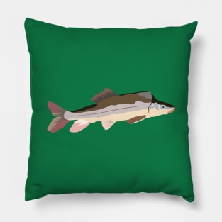 Razorback Sucker Pillow