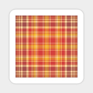 Autumn Plaids , Tartans Checks Magnet