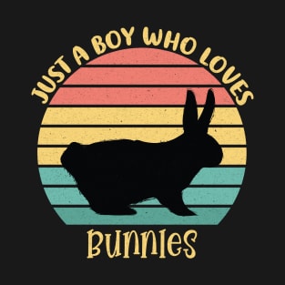 Just A Boy Who Loves Bunnies Shirt, Bunny Lover T-Shirt, Rabbit Shirt, Birthday Gift, Easter shirts for women, Ladies Easter Bunny shirt T-Shirt