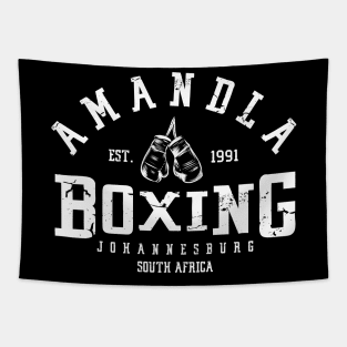 Amandla Boxing 2.0 Tapestry