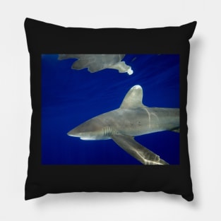 Oceanic White Tip Shark Reflections Pillow