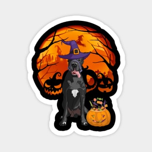 Great dane pumpkin witch Magnet