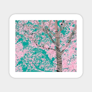 Spring Dark Cherry Blossoms Magnet