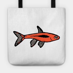 Mosquito raspbora - freshwater aquarium fish Tote