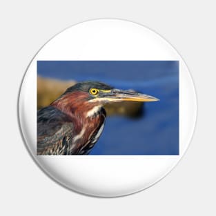 Green Heron Pin