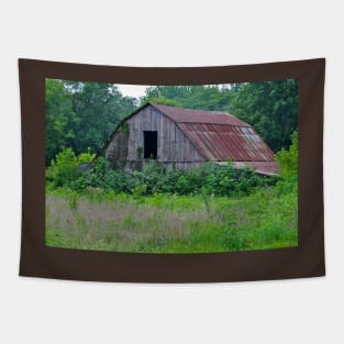 Another Old Barn (3) Tapestry