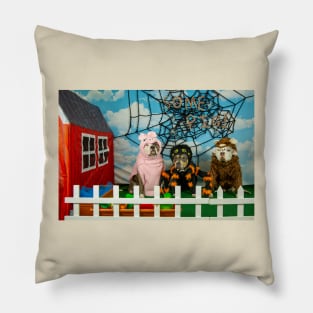 Charlotte's Web Pillow